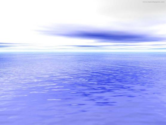 Zed_Art-Digital_00204.jpg